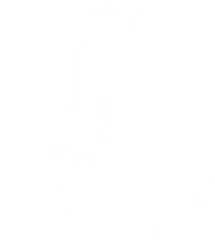 King Abdulaziz University