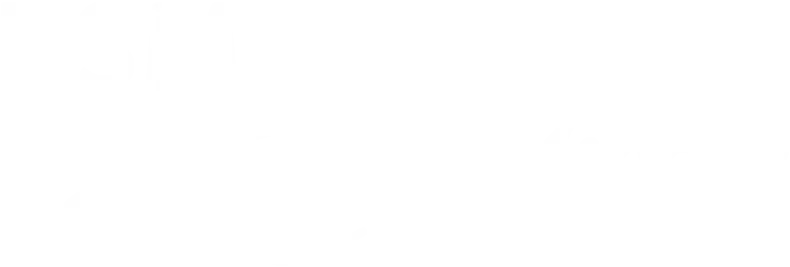 RSM Erasmus University